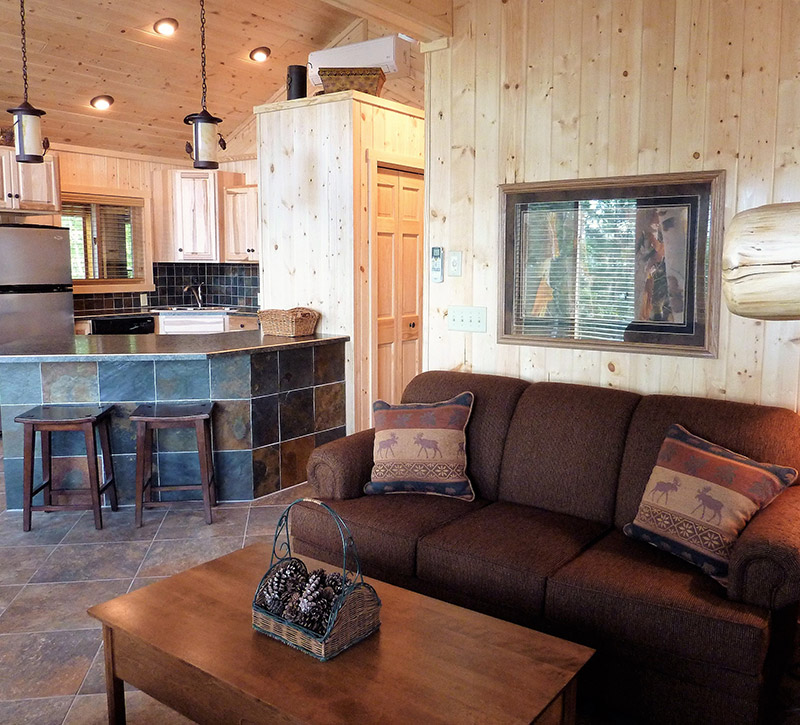 Ely MN Cabin Rentals-The Point Cabin Livingroom-River Point Resort