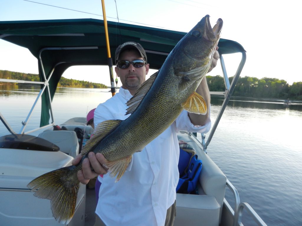 Minnesota Fishing Resorts-Ely MN-River Point Resort-Walleye Fishing