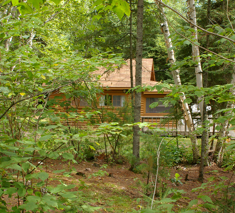 Northern MN Cabins-Hideaway Cabin-River Point Resort