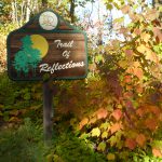 Ely Minnesota Resorts-River Point Resort-Birch Lake-Hiking Trail