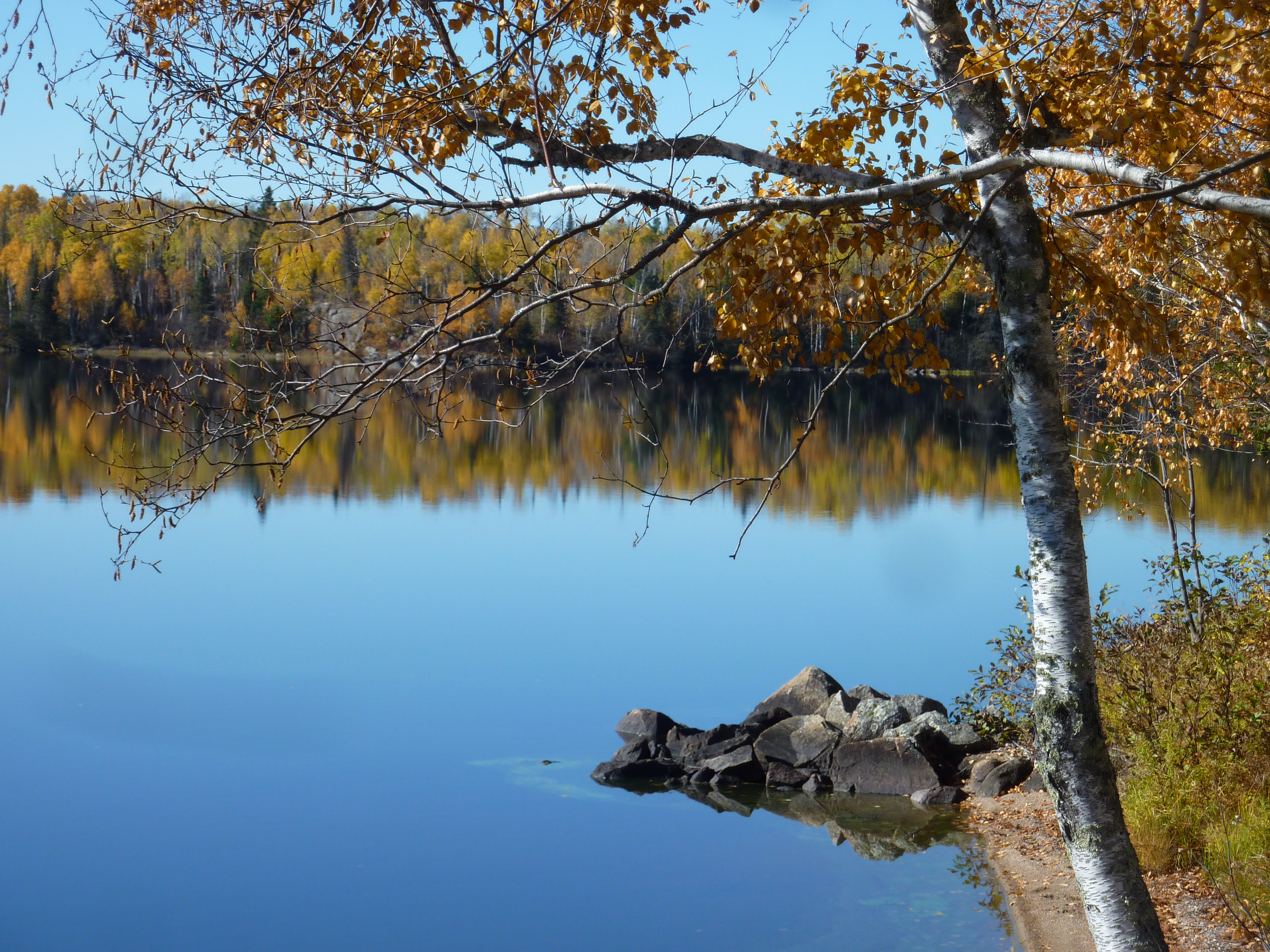 ly Minnesota Resorts-River Point Resort-Birch Lake-Fall Colors